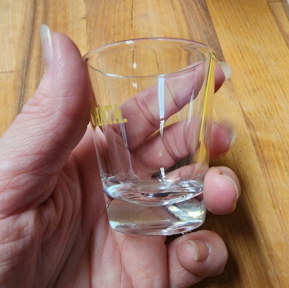 Set of 4 Rum Chata Shot Glasses - Picture 6 of 7